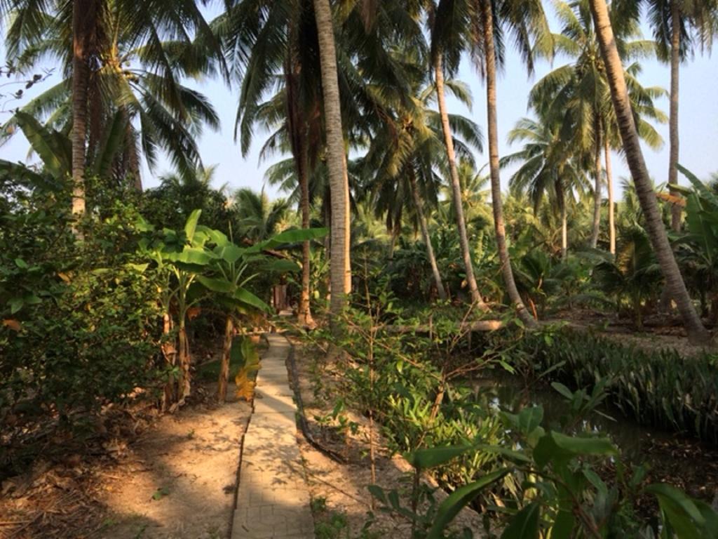 Charming Countryside Homestay Ben Tre Extérieur photo