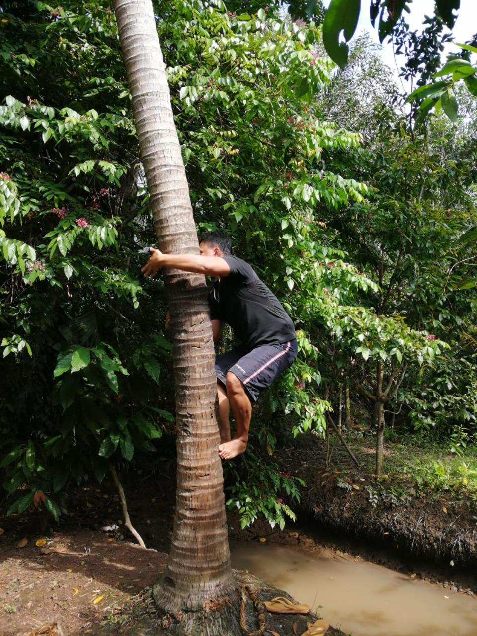 Charming Countryside Homestay Ben Tre Extérieur photo